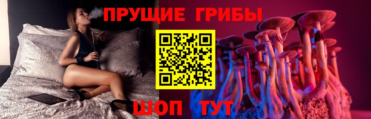 купить наркотики цена  Псилоцибиновые грибы Psilocybe  Вход с VPN  Кемерово 